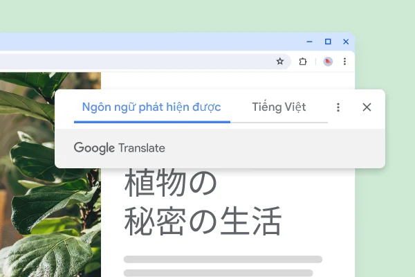 Một trang web có hình ảnh cây cối và bản dịch 'The secret life of plants' (Đời sống bí ẩn của thực vật)